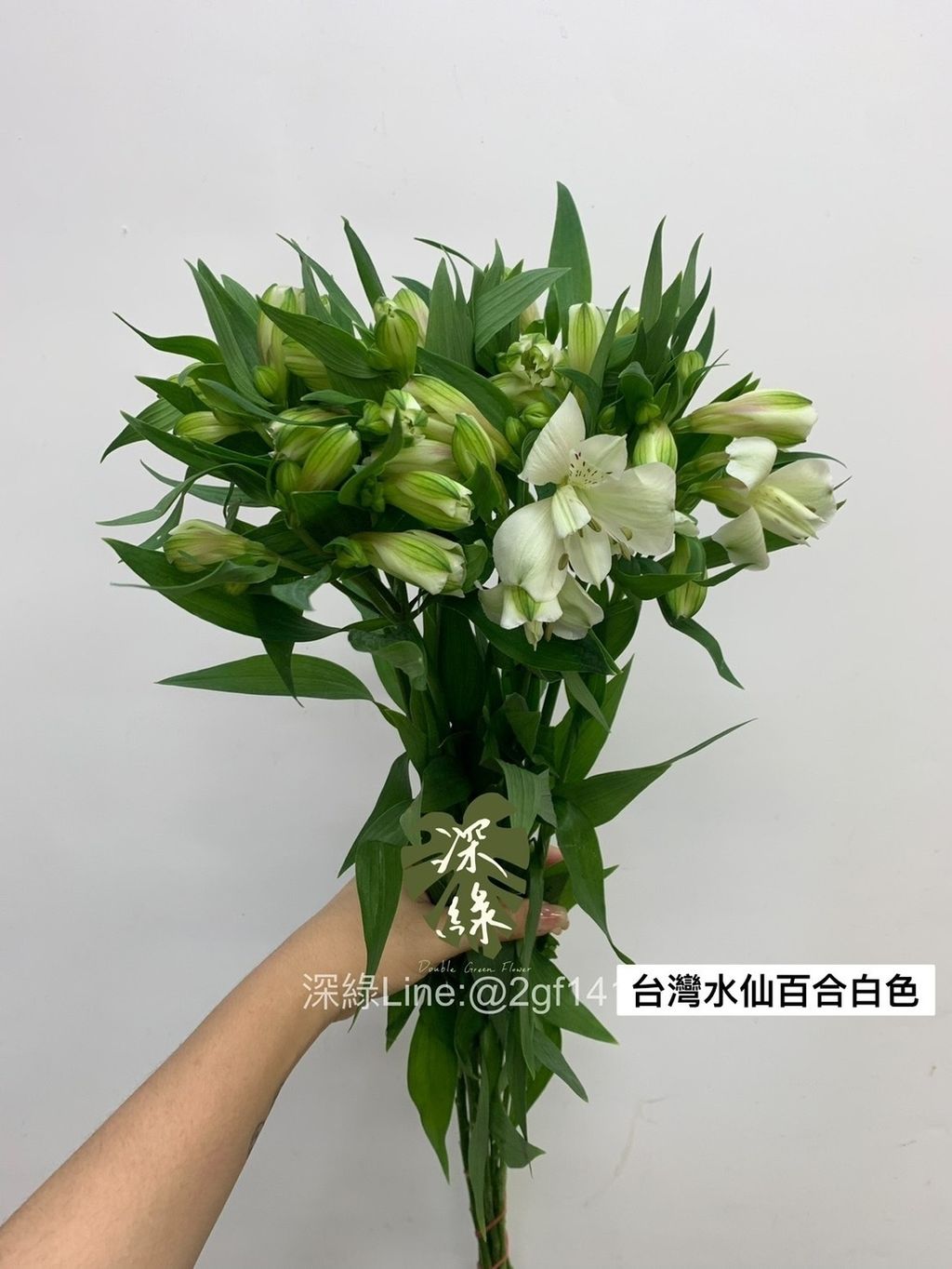 S__3367148