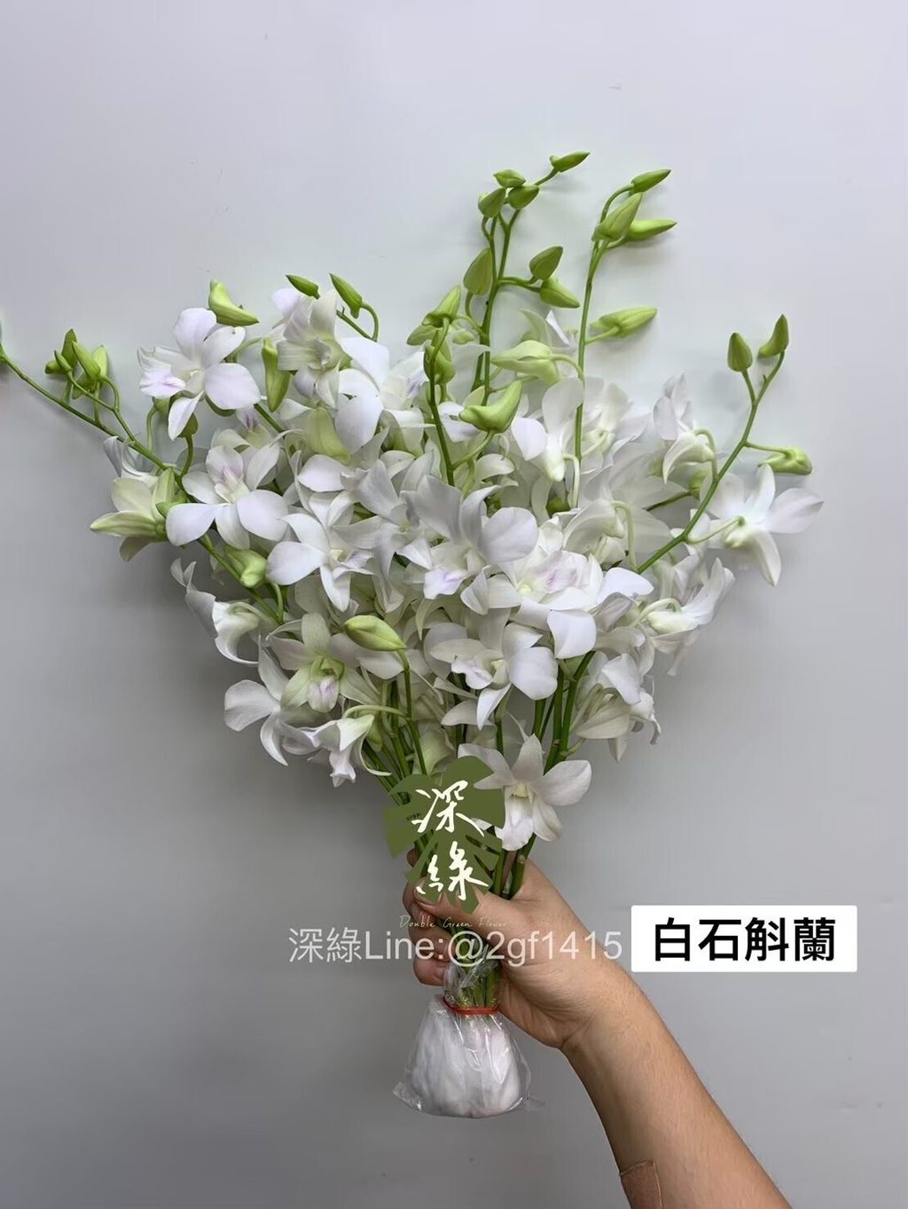 D49D24D8-666D-4C1E-8AA3-908A5064833C-L0-001