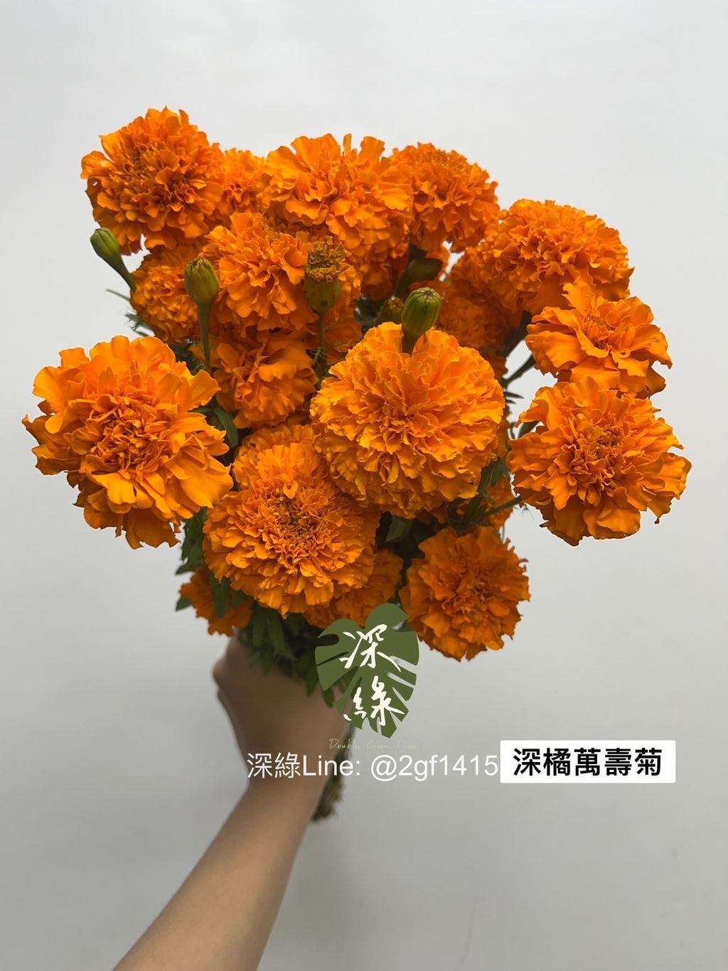 S__3227709