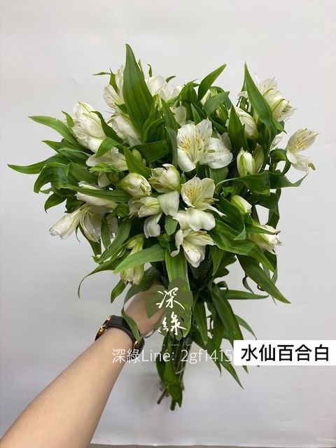 AIL4fc97sbLUuvIi9lWG_07OGmYHkZ0mRHuRUJnIjmJXL6h7dt0XQ-EdKgxYAMGJxLEqrL_csbhmijzraeTXDJF4Wi18jlJ30LKn1YNHJ0TWZ6nSy7gKYYRiePcOGXT_pT2kbW9RD6z7ZvdZ34HJIdNZNf0m=w634-h845-s-no