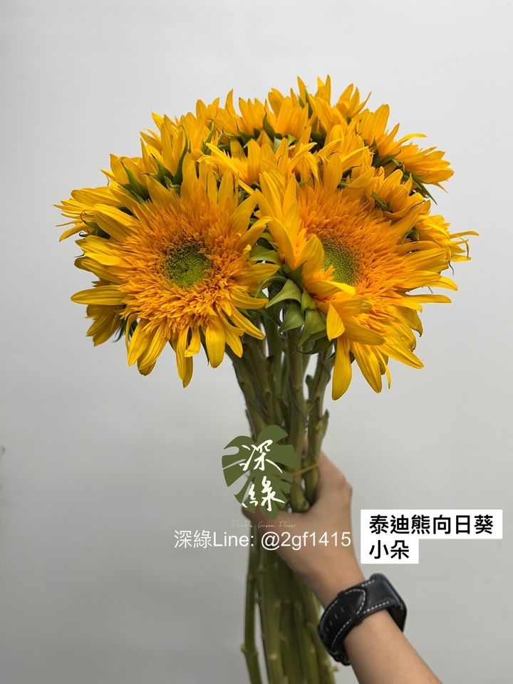 S__3457100