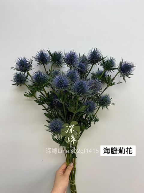 AIL4fc-KdS0UnU2IUPbzYW-f9Otd1tk8FMhy2ooq6fthosua2dLGDI5PrzMs_Vja3GeUUjCMaKDnh7ZY6Bffs3lBk3He1GzVK57jZjMBQDXkchJ3RV5E_sBVXjgPl1cFAl1u5tbBE-KXl2qXkzlXBP8T3phh=w634-h845-s-no