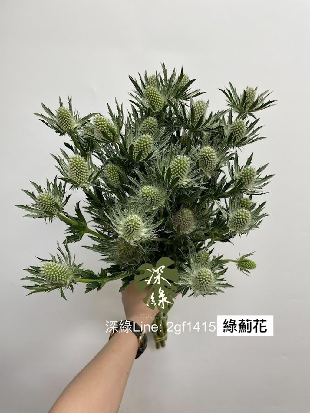 AIL4fc9rCDAjICKT5Vgr2Oza2i0uDR98zNrf2sJRH5VctFpoO8yoDQi0qERs81LT1MutgmOYmeNqPUUuPJ6Wv_e27QMiUC9tz301XZG17cznDinrUDoacDxSNJQYURrklbxKkuOk2xztbPlT2QofOr3_Umyl=w634-h845-s-no