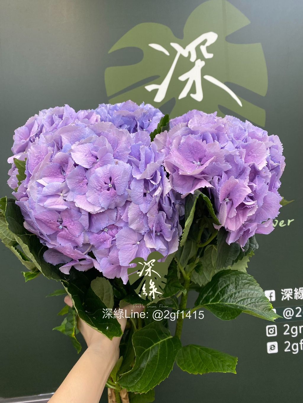 S__25985040