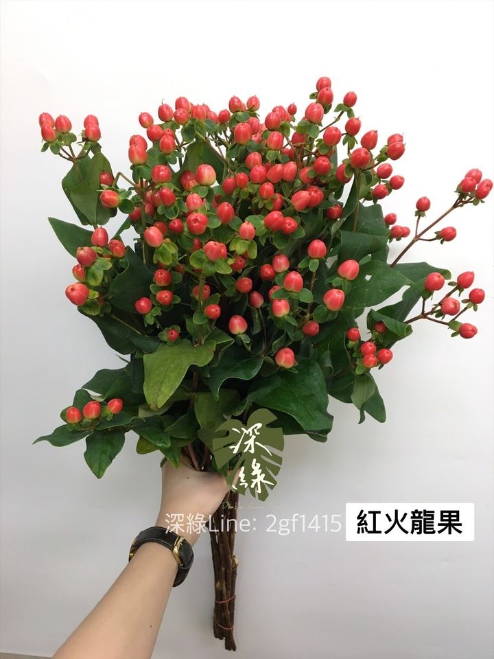 A1B26980-4B9C-412D-96E5-C3A96FDD54F0