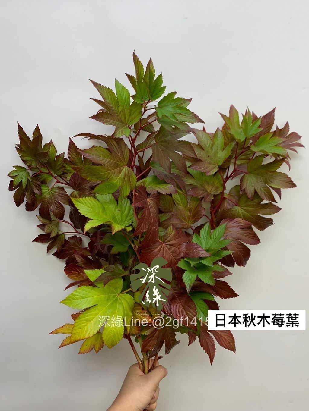 D4A07BCE-50A8-48B4-B8CB-CAE58551128B
