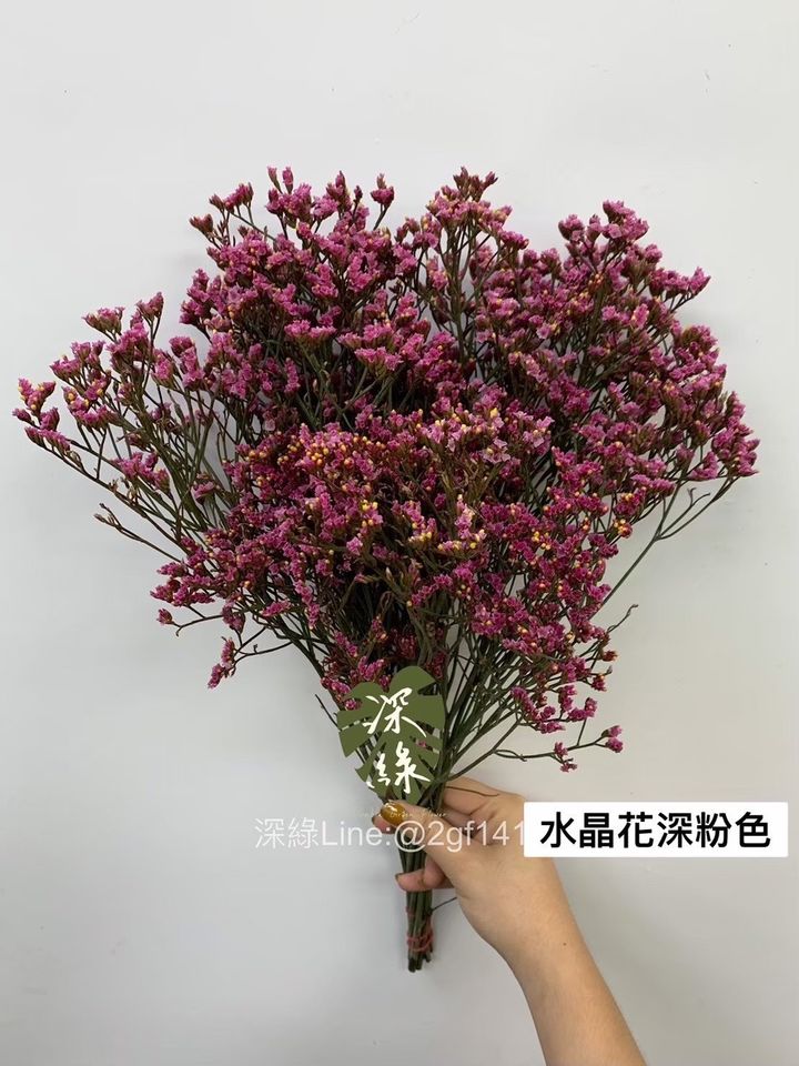 S__34086920