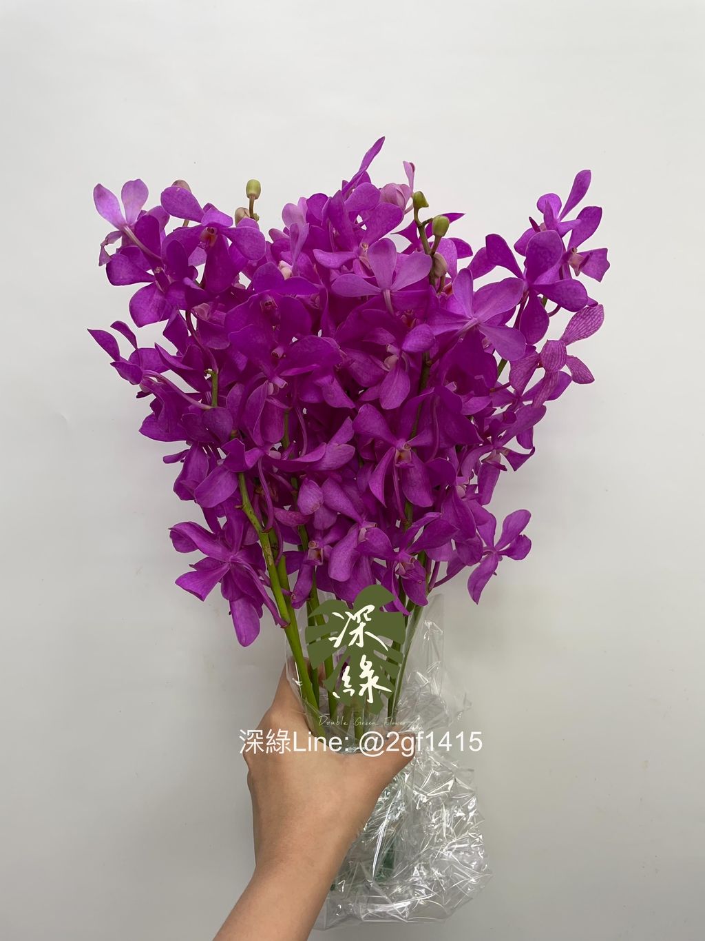 eZy Watermark_27-08-2024_12-24-06-9600下午-1724736555027