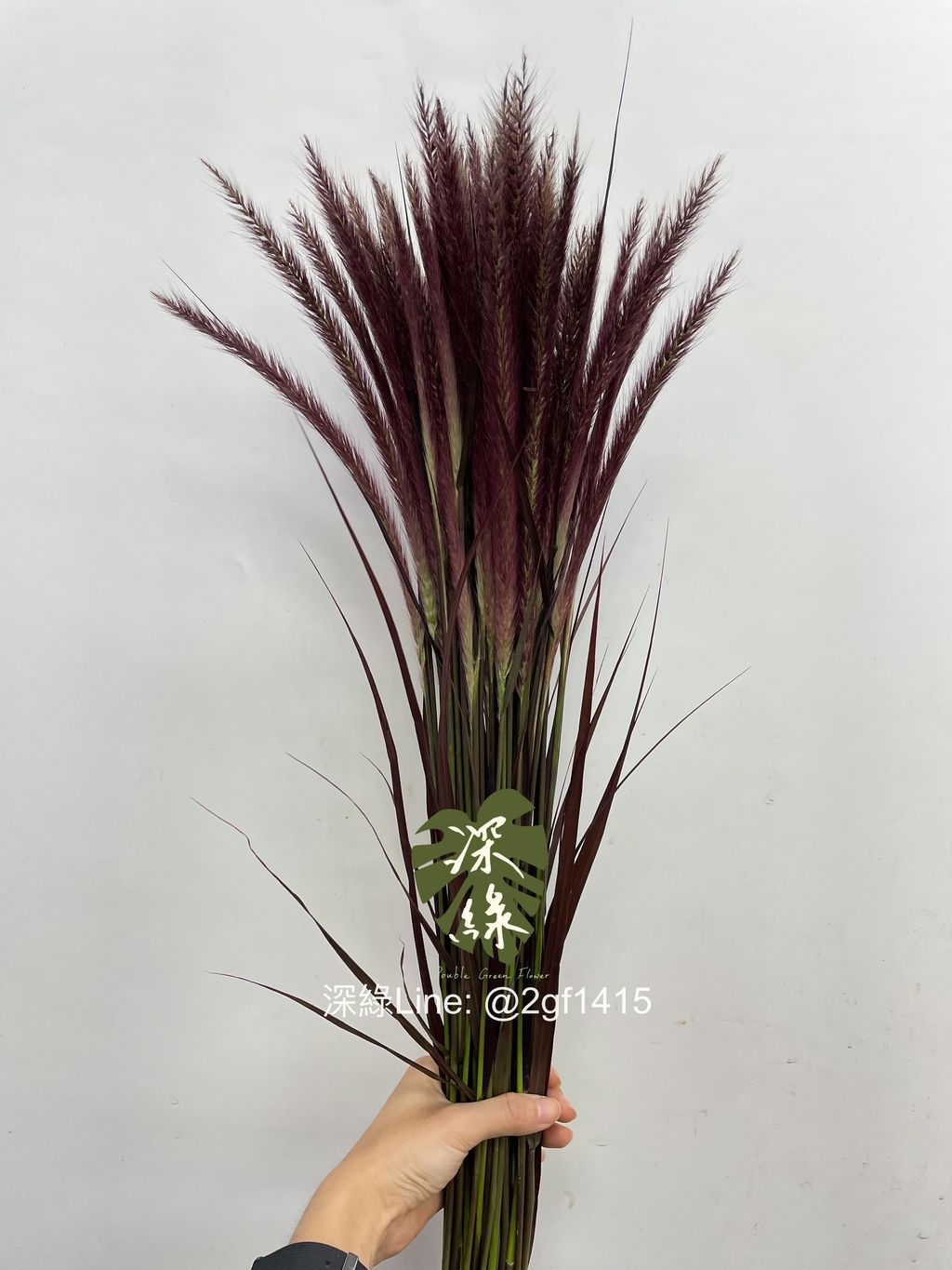 eZy Watermark_05-10-2024_09-25-31-5540上午-1728091818031