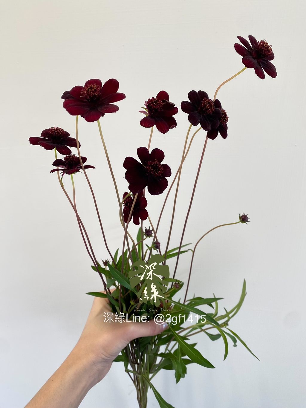 eZy Watermark_21-10-2024_07-13-04-9530下午-1729510624985