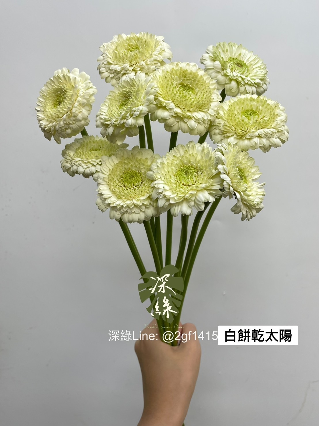師白 花卉圖 師白 花卉圖 Amazon.com: Yu Zhizhen line drawing flowers