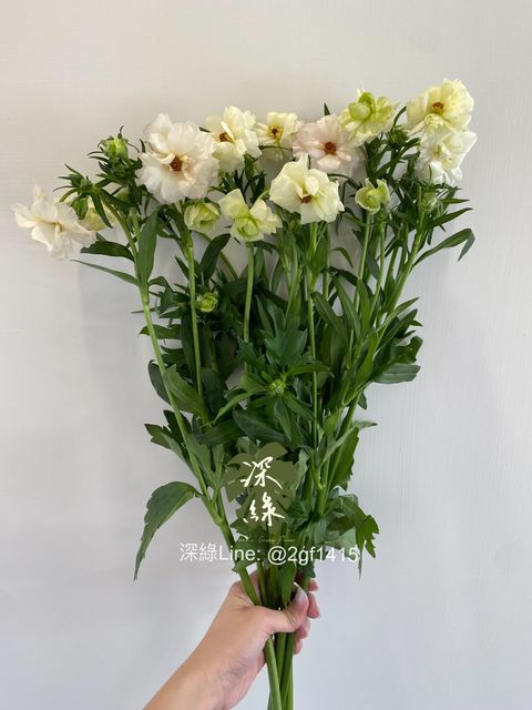 eZy Watermark_21-10-2024_07-12-55-3230下午-1729511327425