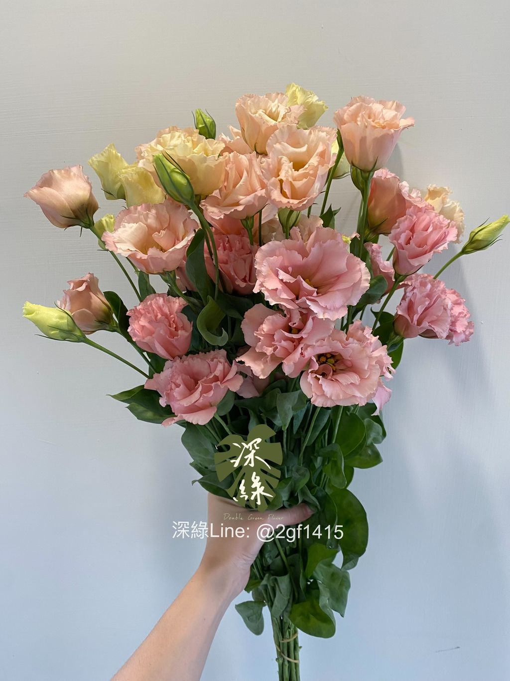 eZy Watermark_22-10-2024_04-30-34-6120下午-1729586156079