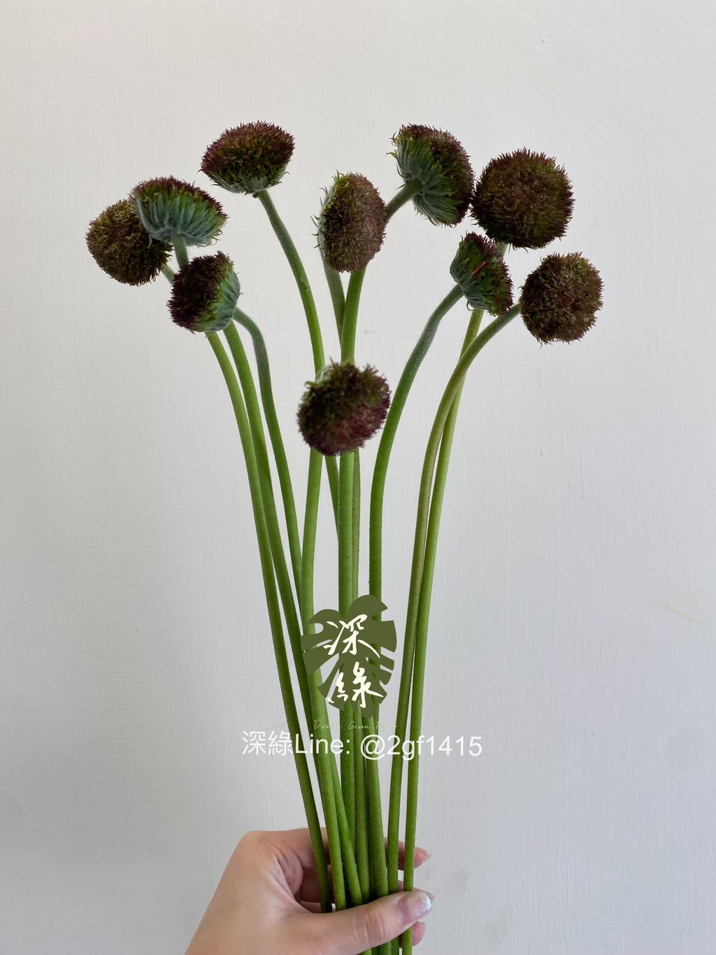 eZy Watermark_22-10-2024_04-30-36-4110下午-1729586625093