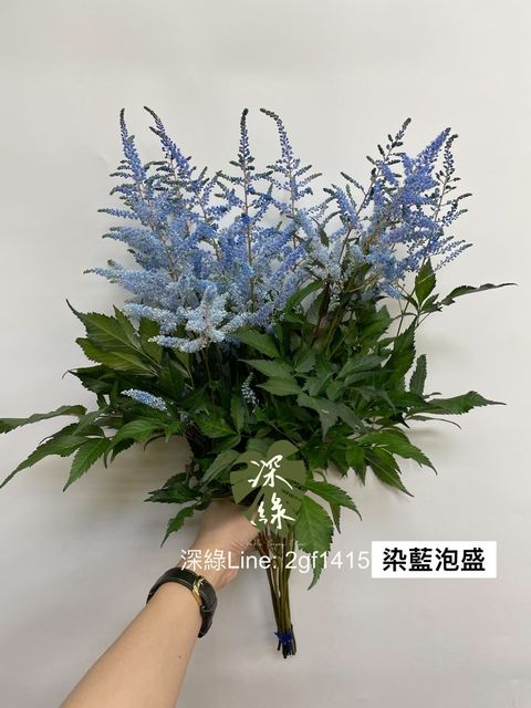 3B07919F-16B7-40F4-8D3A-7EC55588DDB5