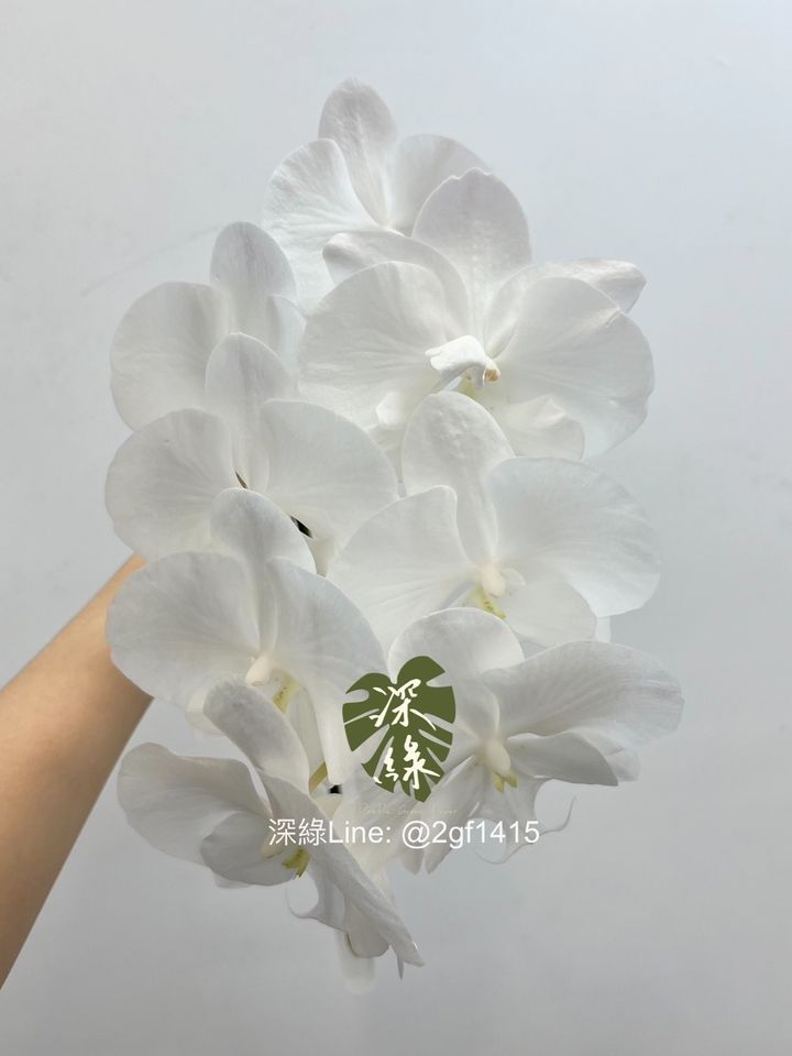 S__4202645_0