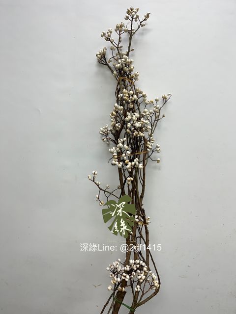 IMG_0739-1729658871912