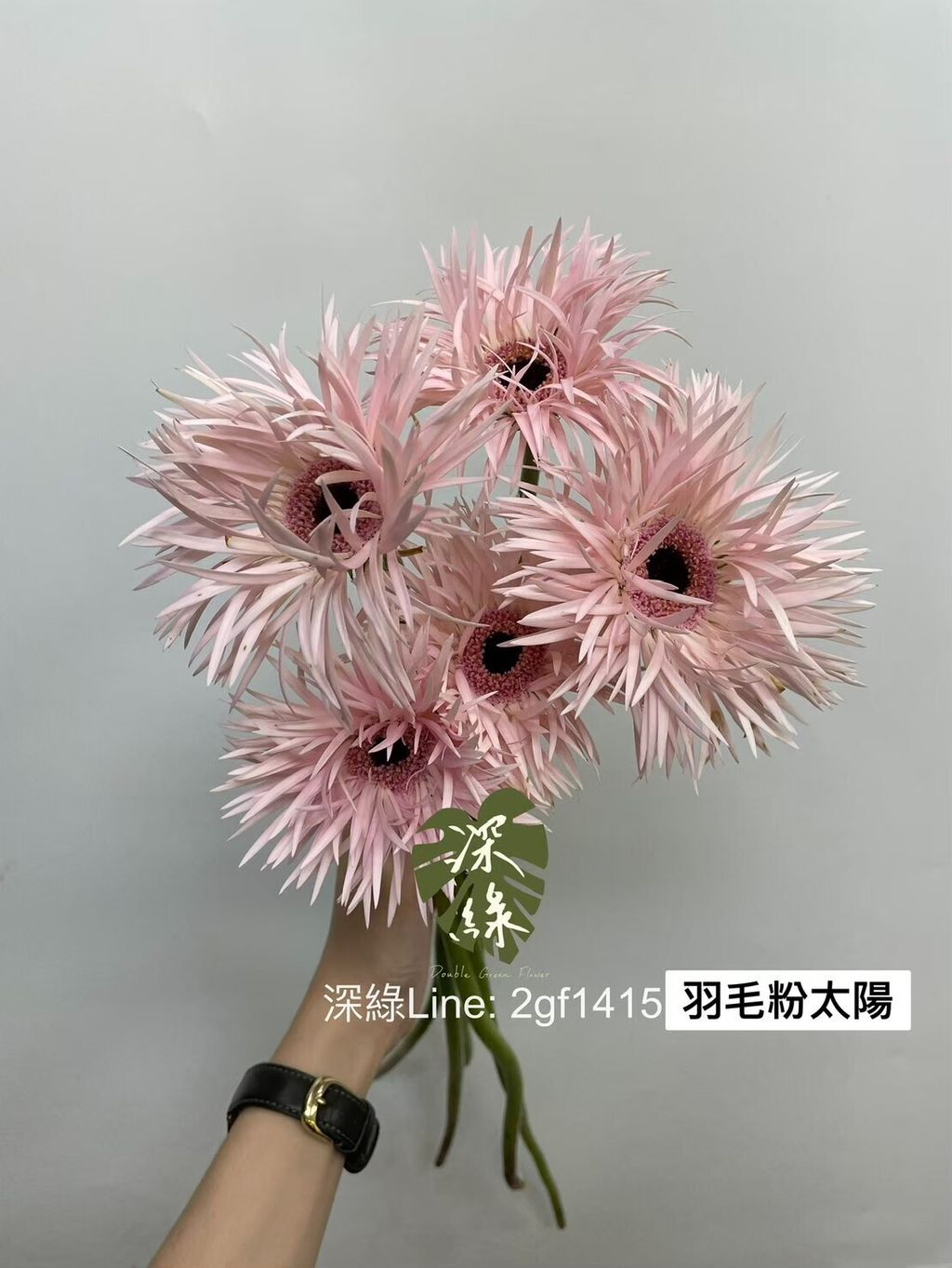 DE87274E-7381-492F-9A59-6C5214BE21C3-L0-001