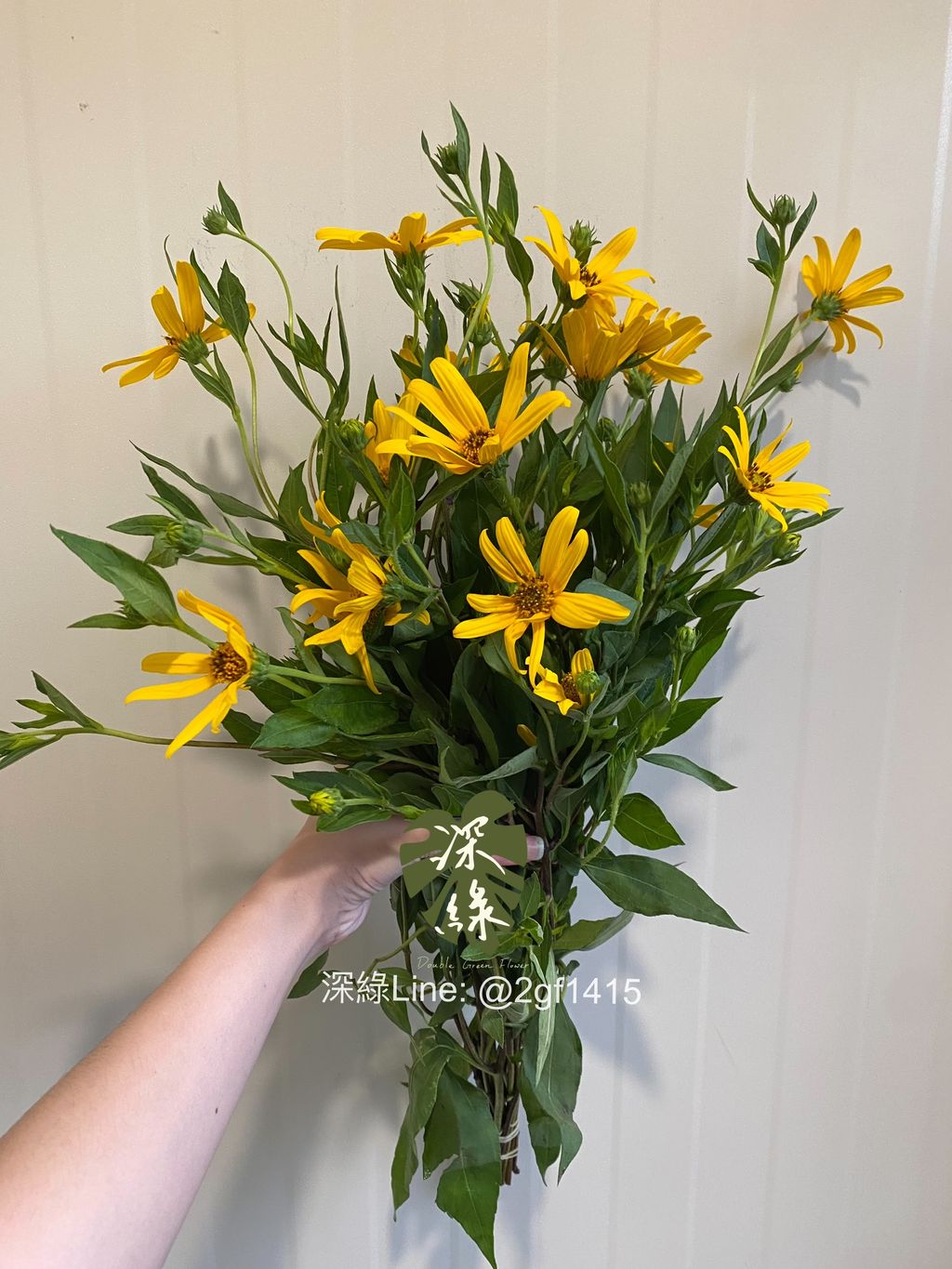 eZy Watermark_23-10-2024_06-04-51-3460下午-1729677965604