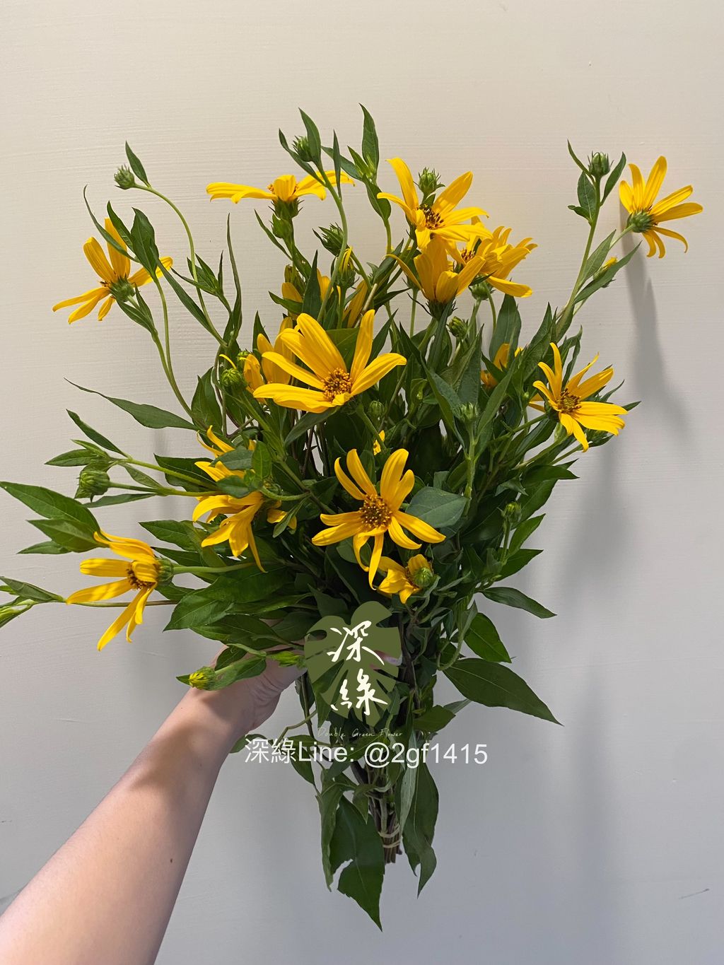 eZy Watermark_23-10-2024_06-04-50-4060下午-1729677965807