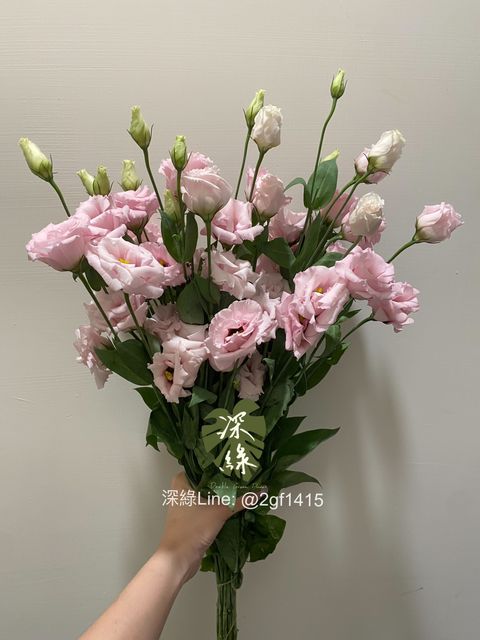 eZy Watermark_23-10-2024_06-04-52-0910下午-1729678112598