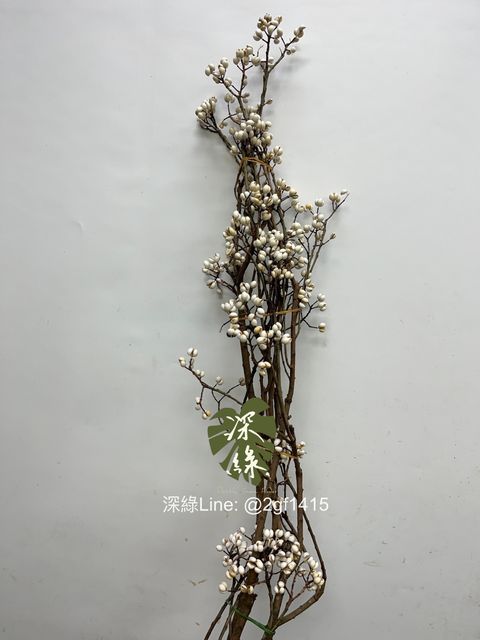 IMG_0739-1729658871912