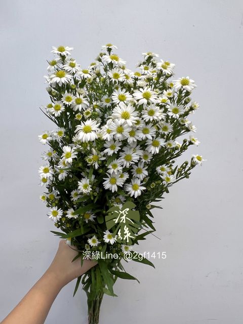 eZy Watermark_24-10-2024_12-24-50-7550下午-1729744026389