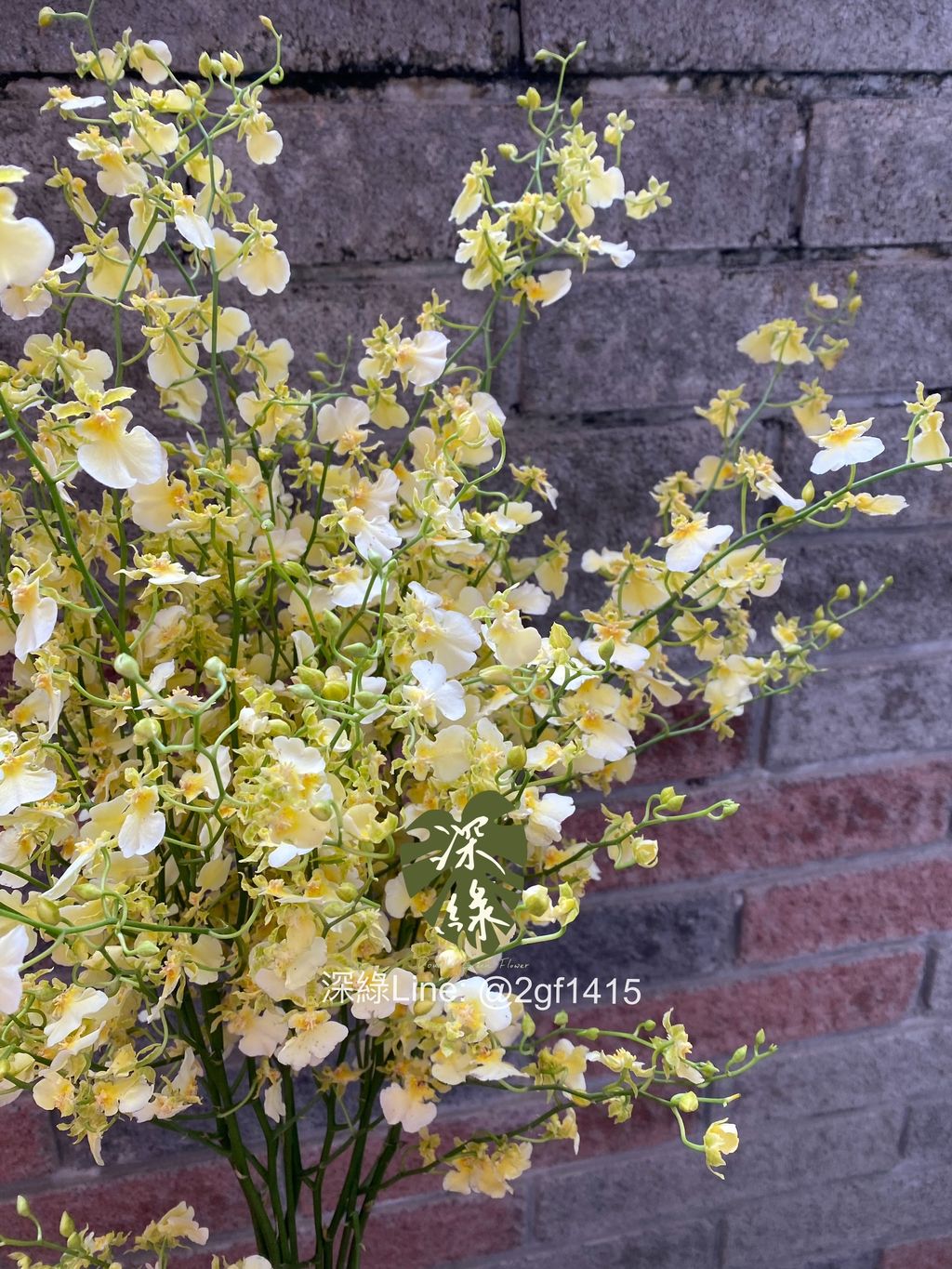 eZy Watermark_24-10-2024_09-15-51-4530下午-1729775882465