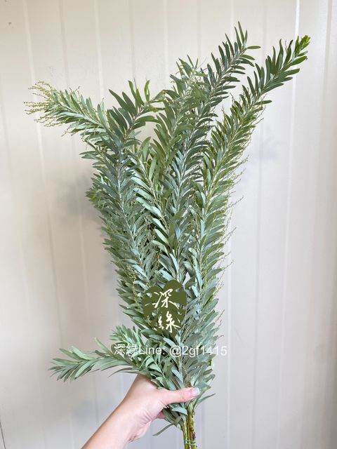 eZy Watermark_24-10-2024_09-15-50-6700下午-1729778135056