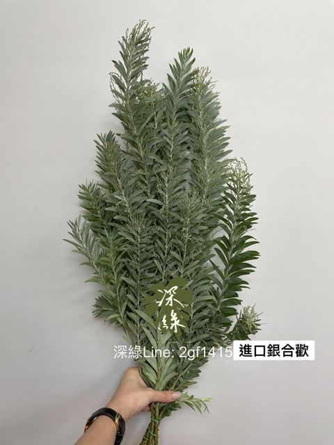 35C5270D-507F-4FC8-BBF4-23538CE57CD9