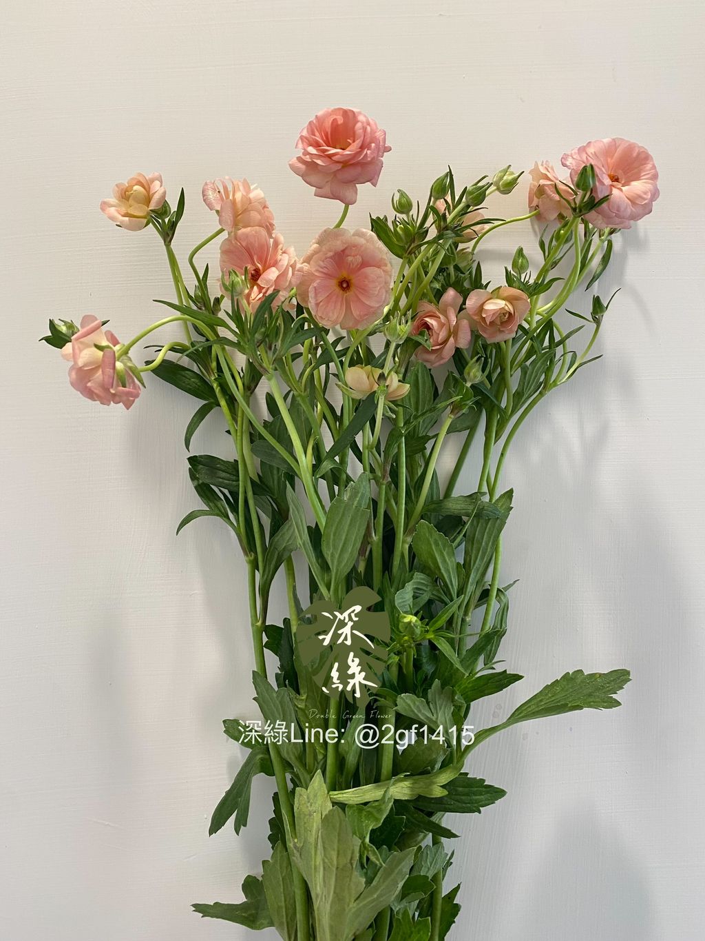 eZy Watermark_24-10-2024_09-15-45-8320下午-1729778566138