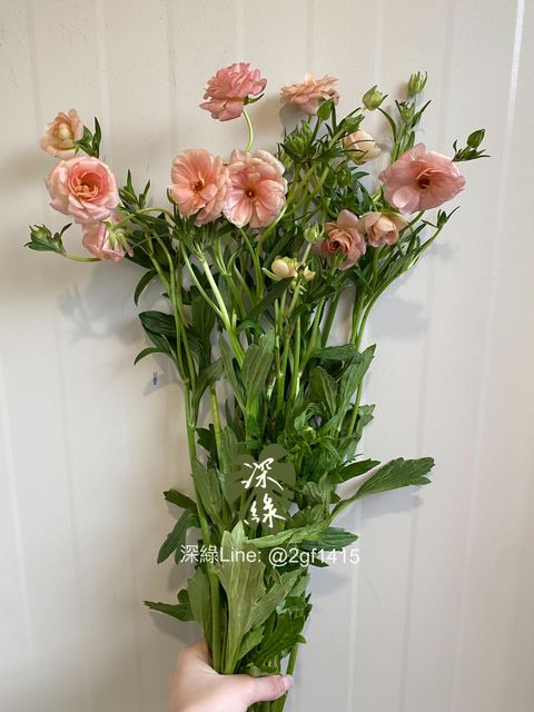 eZy Watermark_24-10-2024_09-15-46-6250下午-1729778566383