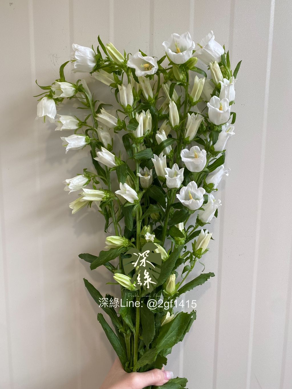 eZy Watermark_24-10-2024_09-15-49-8580下午-1729778864289