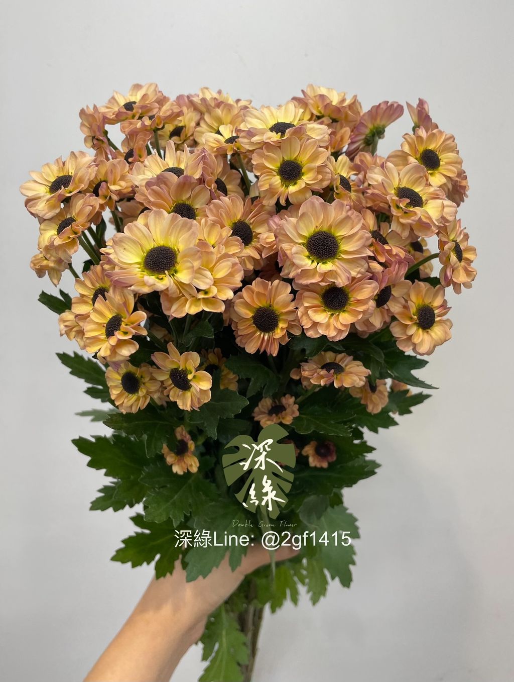eZy Watermark_03-09-2024_11-44-48-7380上午-1725335593063
