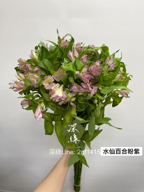 768769EB-D3E5-42F0-A587-81E5DB823487