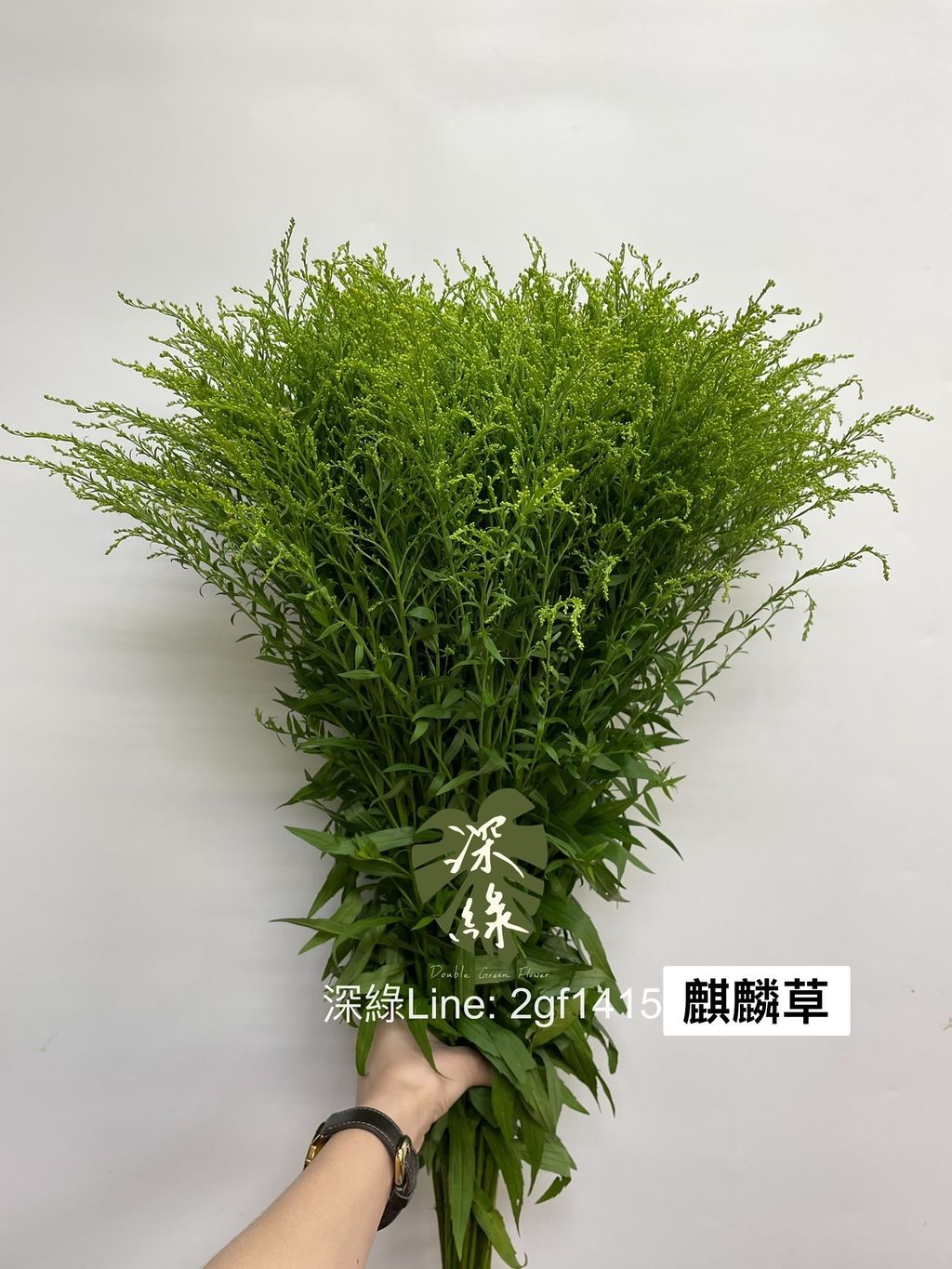 653831F2-1DD2-4494-B3DF-DA36DB5468CC