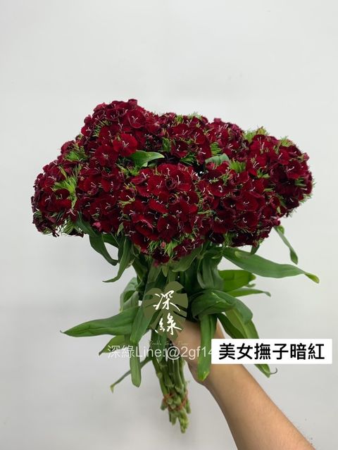 IMG_5632-1701248154987