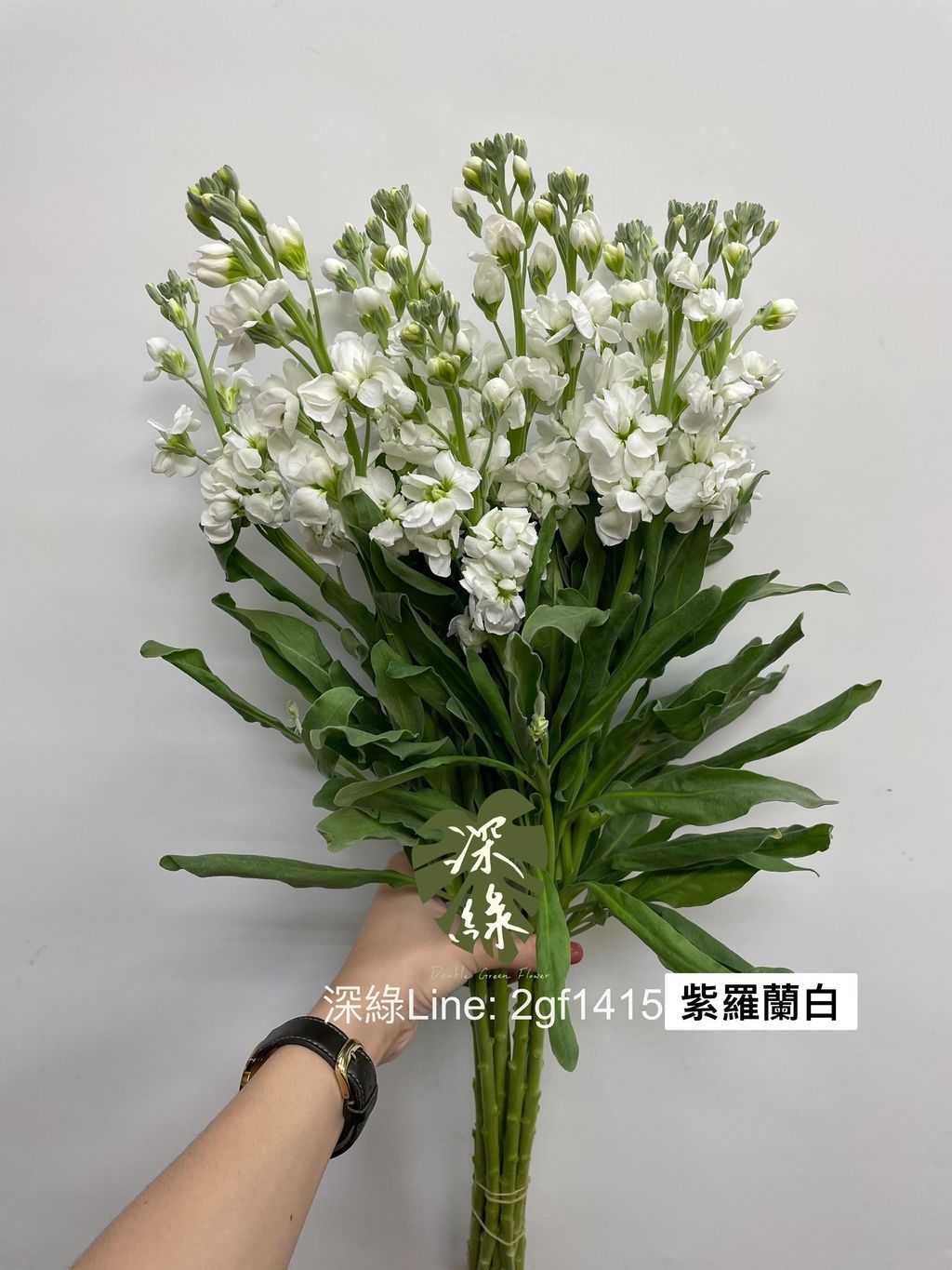 22A4063B-2945-4A10-8094-1CE48338E6B2