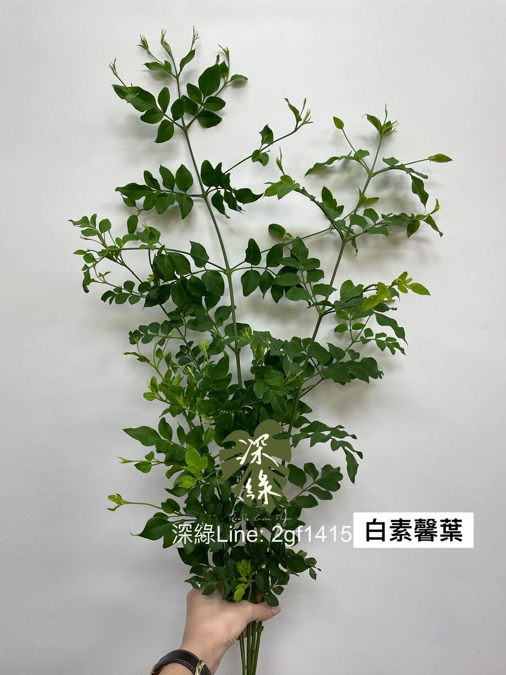 1B1121A6-D039-4A51-A421-581A3EBDF670