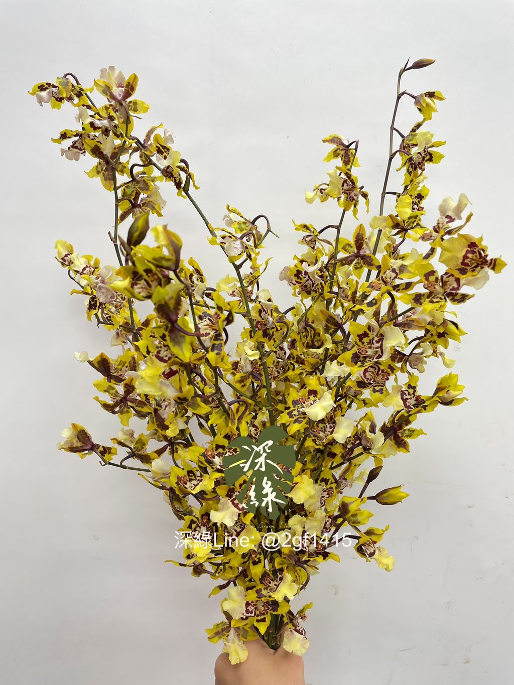 eZy Watermark_25-09-2024_09-38-27-0600上午-1727228349682