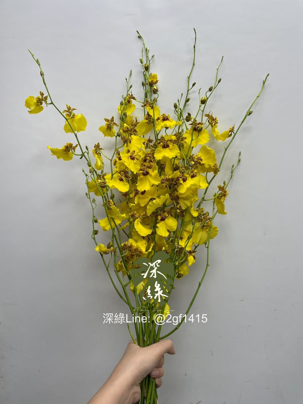 IMG_5680-1730176956011