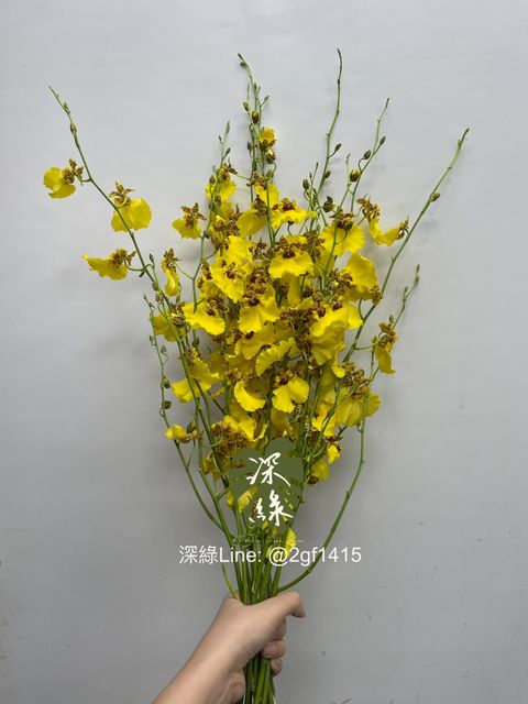 IMG_5680-1730176956011