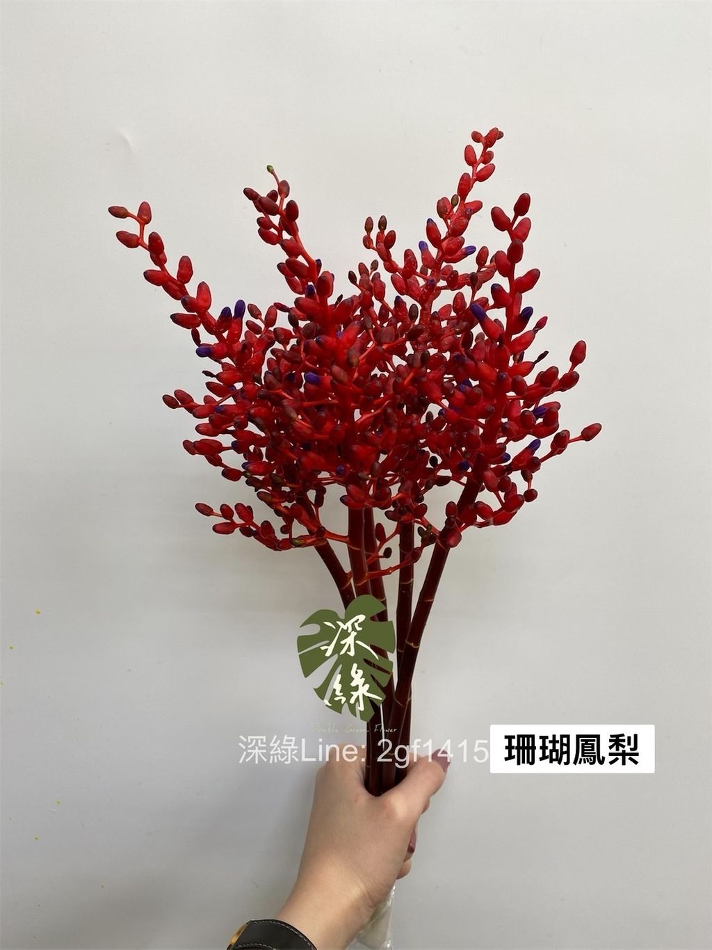 D849F9F3-A4F0-4575-A442-503EF5549234