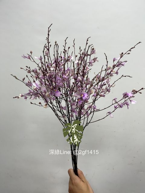 IMG_5656-1730094343669