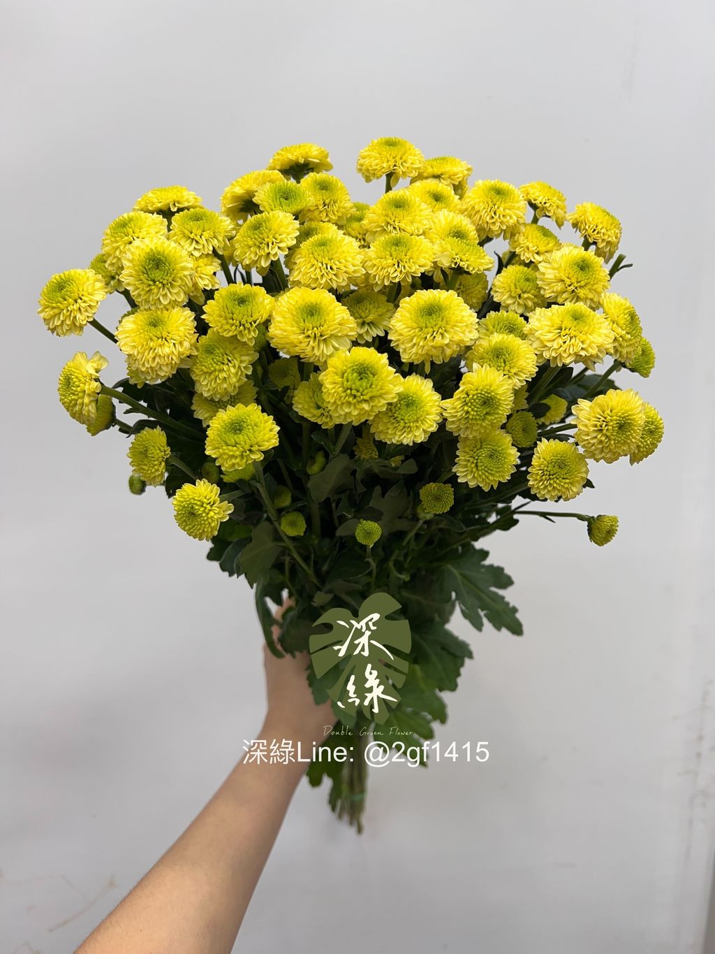 eZy Watermark_18-06-2024_12-04-57-0650下午-1718683714707