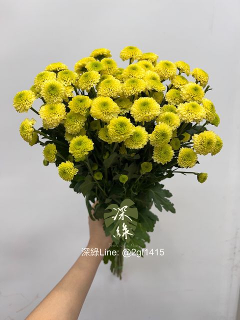 eZy Watermark_18-06-2024_12-04-57-0650下午-1718683714707