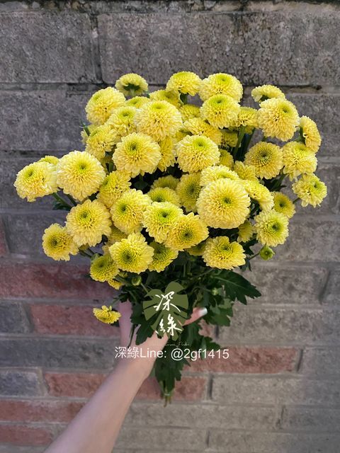 S__31162398_0