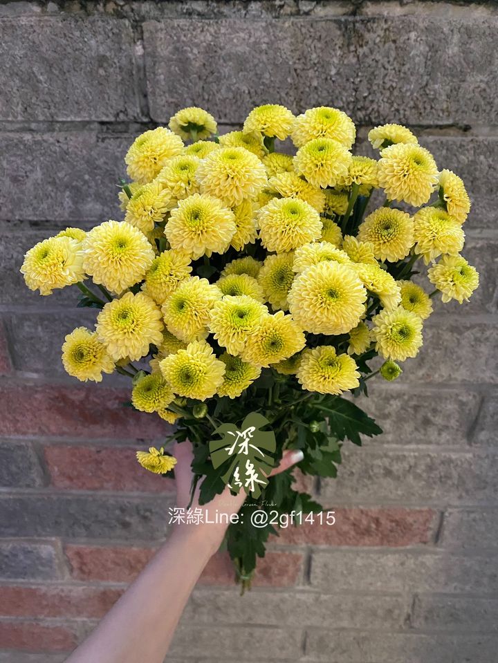 S__31162398_0