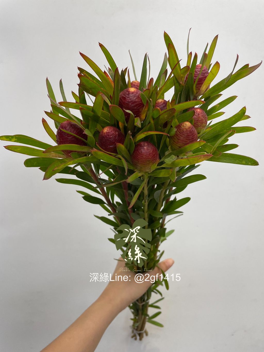 eZy Watermark_03-11-2024_10-50-17-7070上午-1730602237176