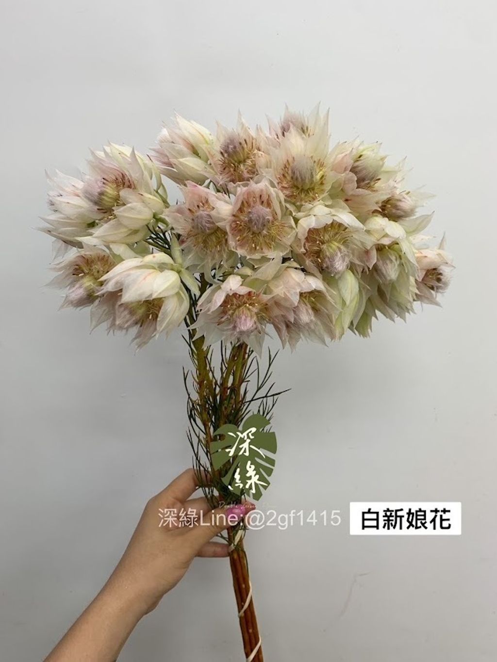 AIL4fc-rv1puypUvd48KnxJEqFYDd828WMs3wg8M-JZQm7on0WZX3M5q6AqBq86S9FpWfU2HjaTd47ln6meuhNfidfv5A7QkrzP9_nHrxZB7-e3i0MZ-jtGkyoWFOE1SJudR49sUuWAd7yAvrqFuWazQoTiW=w634-h845-s-no